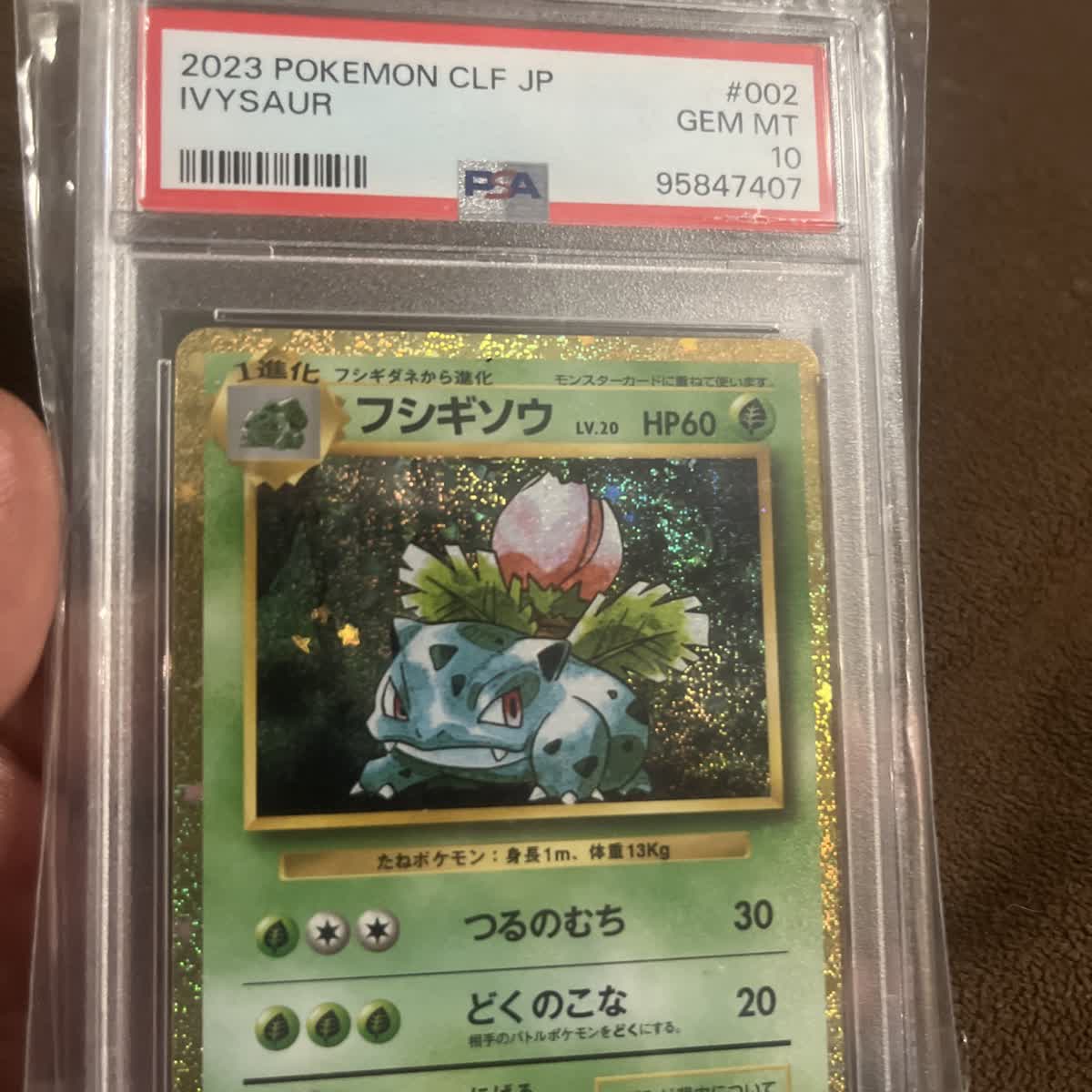 PSA 10 graded Pokemon card — beginners guide to Pokemon card investing